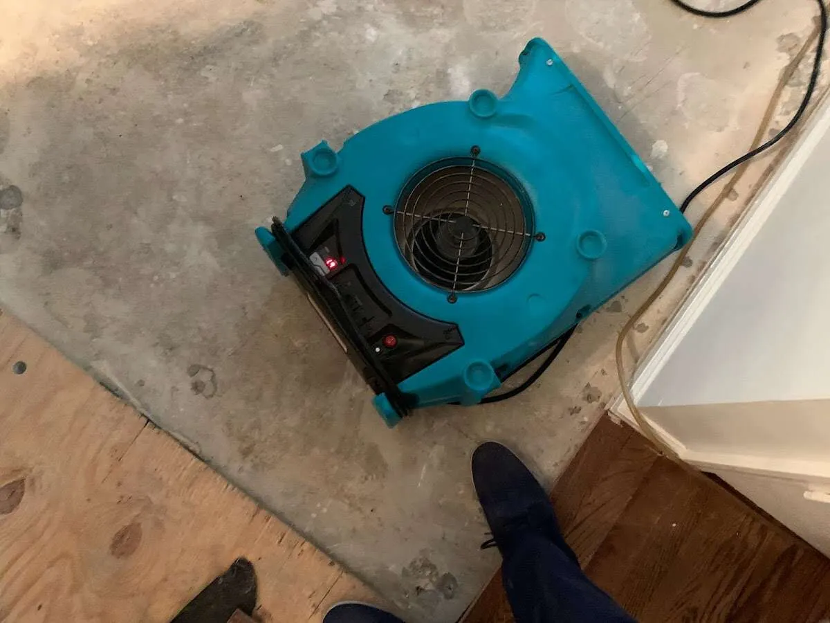 Air mover drying subfloor during Commercial Water Damage Restoration in Raleigh Hills